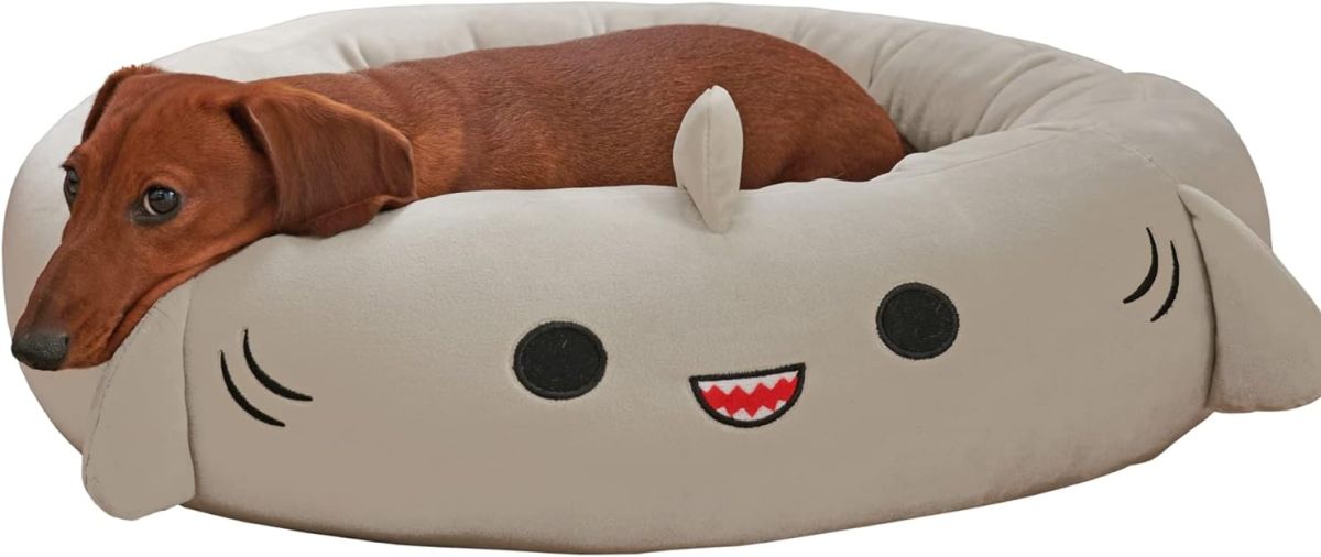 Squishmallows Lit Officiel