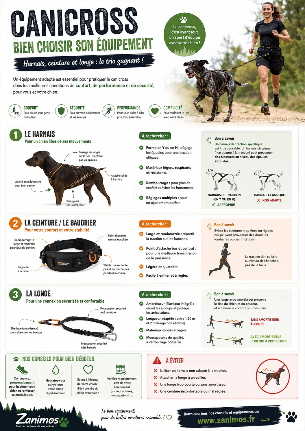 Équipement canicross - infographie
